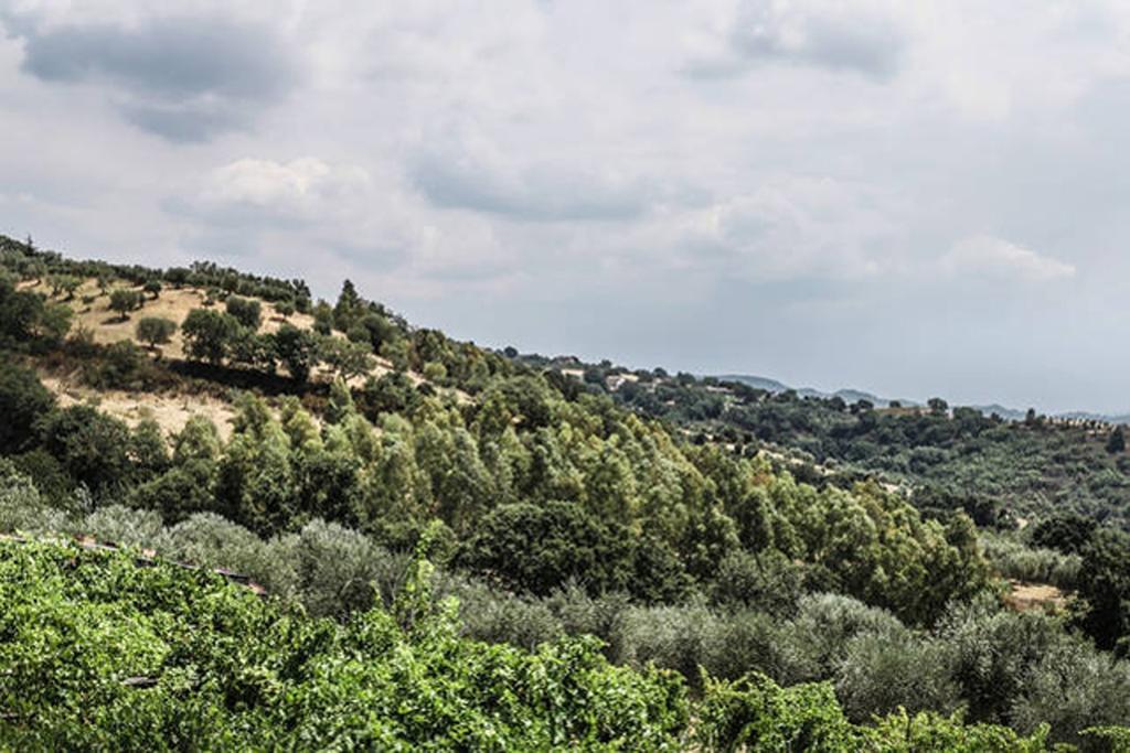 Agriturismo Miracco Atanasio Franco "Il Maniero" Santa Sofia d'Epiro Eksteriør billede