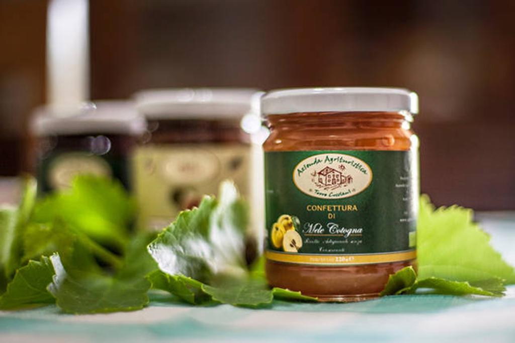 Agriturismo Miracco Atanasio Franco "Il Maniero" Santa Sofia d'Epiro Eksteriør billede